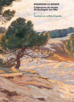 Regarder le monde : Collections du musée de Boulogne-sur-mer Tome 1 : Comme un reflet d'opale