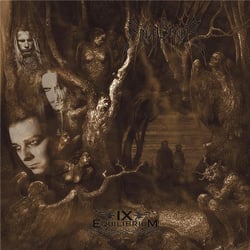 IX Equilibrium