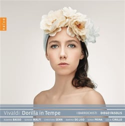 Dorilla in tempe