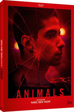 Animals