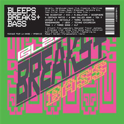 Bleeps Breaks and Bass