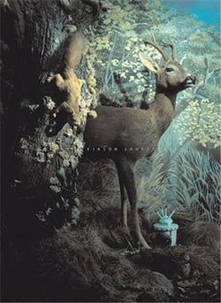 Conrad atkinson: landescapes