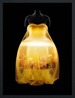 Sleeping beauties : Reawakening fashion