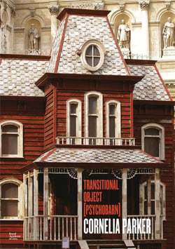 Cornelia parker transitional object