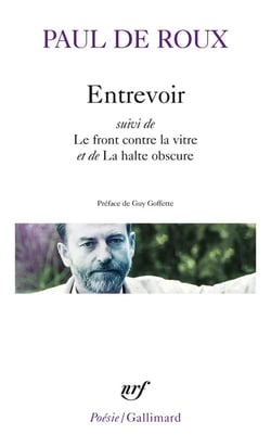 Entrevoir / Le front contre la vitre / La halte obscure