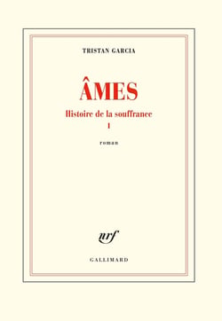 Histoire de la souffrance Tome 1 - âmes