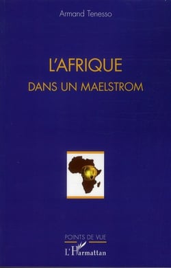 L'Afrique dans un maelstrom