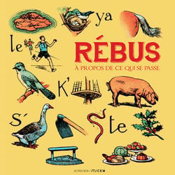 Rébus - à propos de ce qui se passe - édition collector