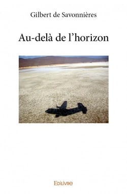Au-dela de l'horizon