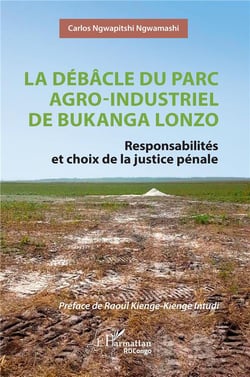 La débâcle du parc agro-industriel de Bukanga Lonzo : Responsabilités et choix de la justice pénale