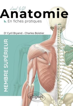 L'anatomie en fiches : membre supérieur