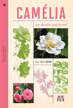 Camélia : un destin universel