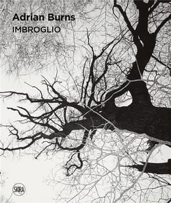 Imbroglio