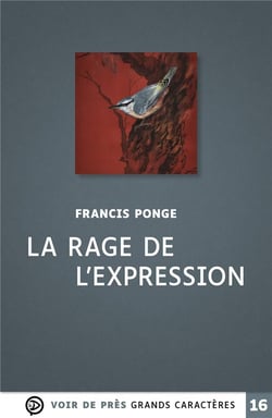 La Rage de l'expression