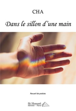 Dans le sillon d'une main