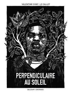 Perpendiculaire au soleil
