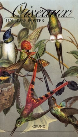 Oiseaux