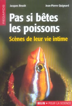 Pas si betes les poissons - scenes de leur vie intime