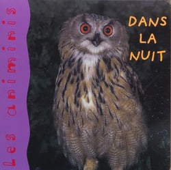 Dans la nuit