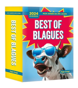 Mon année en 365 jours : best of blagues (édition 2024)