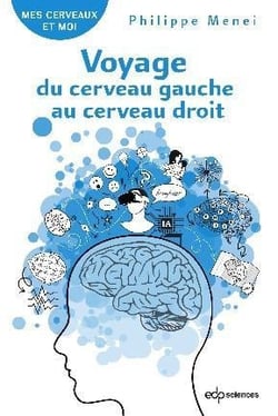Voyage du cerveau gauche au cerveau droit