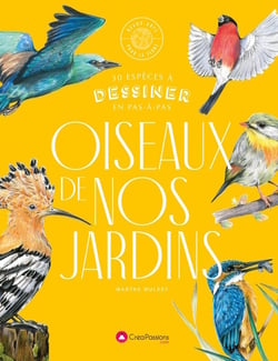 Oiseaux de nos jardins : 30 espèces menacées à dessiner en pas-à-pas
