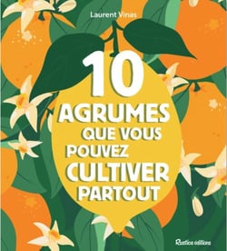 Les 10 agrumes que vous pouvez cultiver partout - en pot ou pleine terre, au nord comme au sud