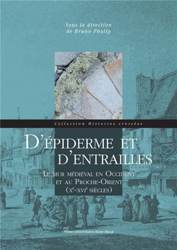 D' Épiderme et d'entrailles : Le mur médiéval en Occident et au Proche-Orient (Xe-XVIe siècles)