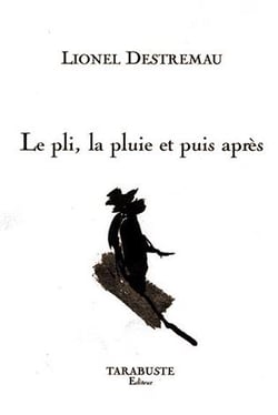 Le pli, la pluie et puis apres - lionel destremeau
