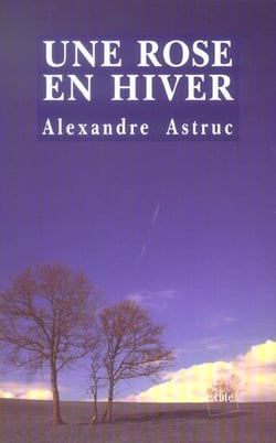 Une rose en hiver