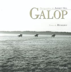Galop - pur sang