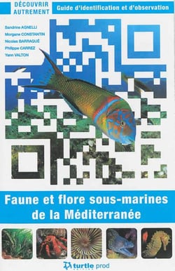 Découvrir autrement faune et flore sous-marines de la Méditerranée