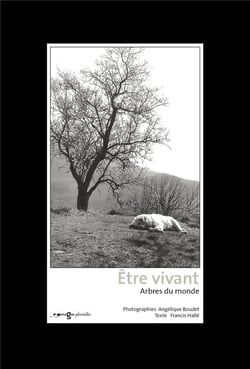 Être vivant - arbres du monde