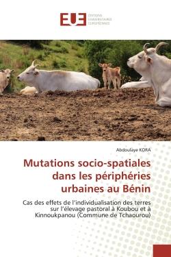 Mutations socio-spatiales dans les périphéries urbaines au Bénin : Cas des effets de l'individualisation des terres sur l'élevage pastoral à Koubou et à Kinnoukpanou
