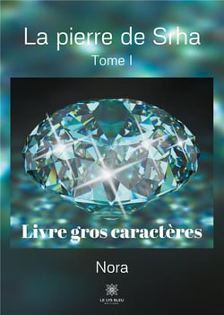 La pierre de Srha Tome 11