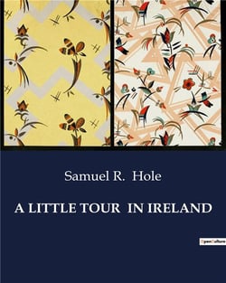 A LITTLE TOUR  IN IRELAND : A Journey Through Ireland's Past and Present
