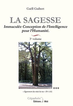 La sagesse 3e volume immaculee conception de l'intelligence pour l'humanite