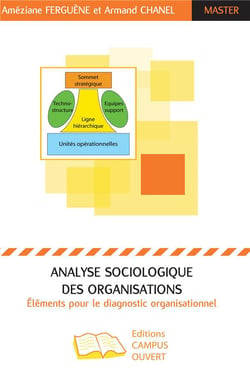 Analyse sociologique des organisations - éléments pour le diagnostic organisationnel