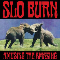 Amusing The Amazing (RSD Exclusive)