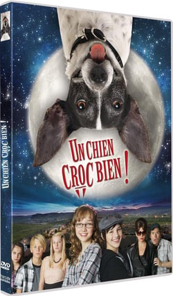 Un chien croc bien