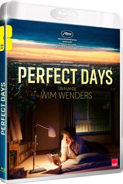 Perfect Days