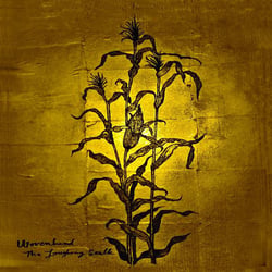 The laughing stalk