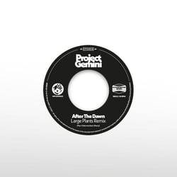 After The Dawn - Large Plants Remix - Darkness Rising - édition limitée