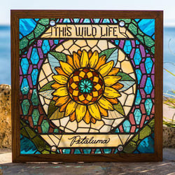 Petaluma - Vinyle