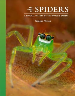 Lives of spiders : A natural history of the world's spiders