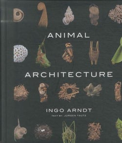 Animal architecture