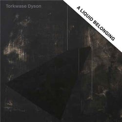 Torkwase dyson: a liquid belonging /anglais