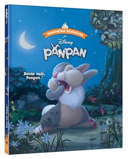 Les nouvelles histoires de Panpan : bonne nuit, Panpan !