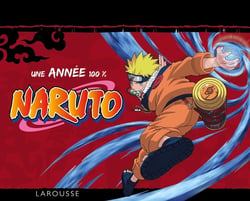 Naruto : Une année 100%