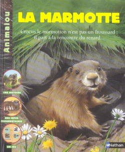 La marmotte